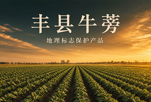 地理标志