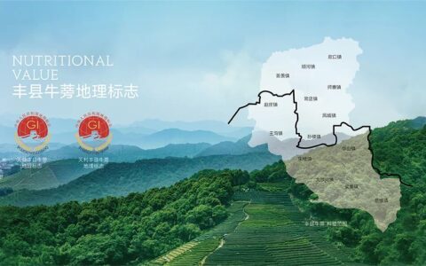 深耕牛蒡产业三十六载，探索健内容配图7