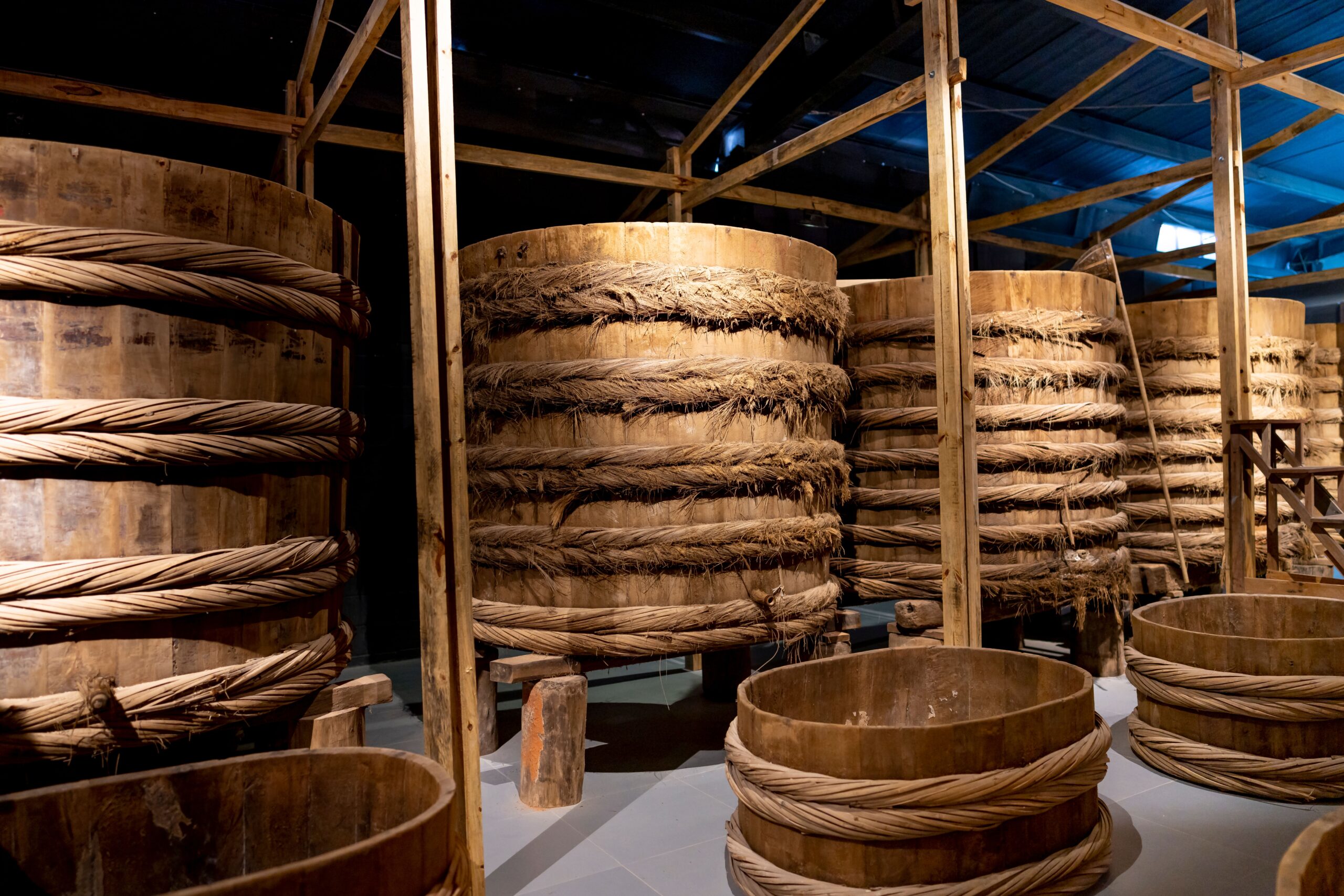 Fish sauce fermenting in wooden large barrels placed in row in local manufacture factory
