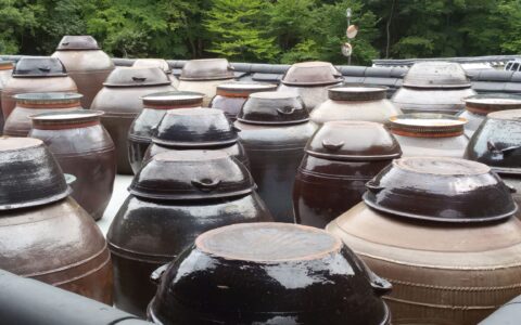 Ceramic Onggi jars used for fermentation in Yangsan, Gyeongsangnam-do, surrounded by lush greenery.