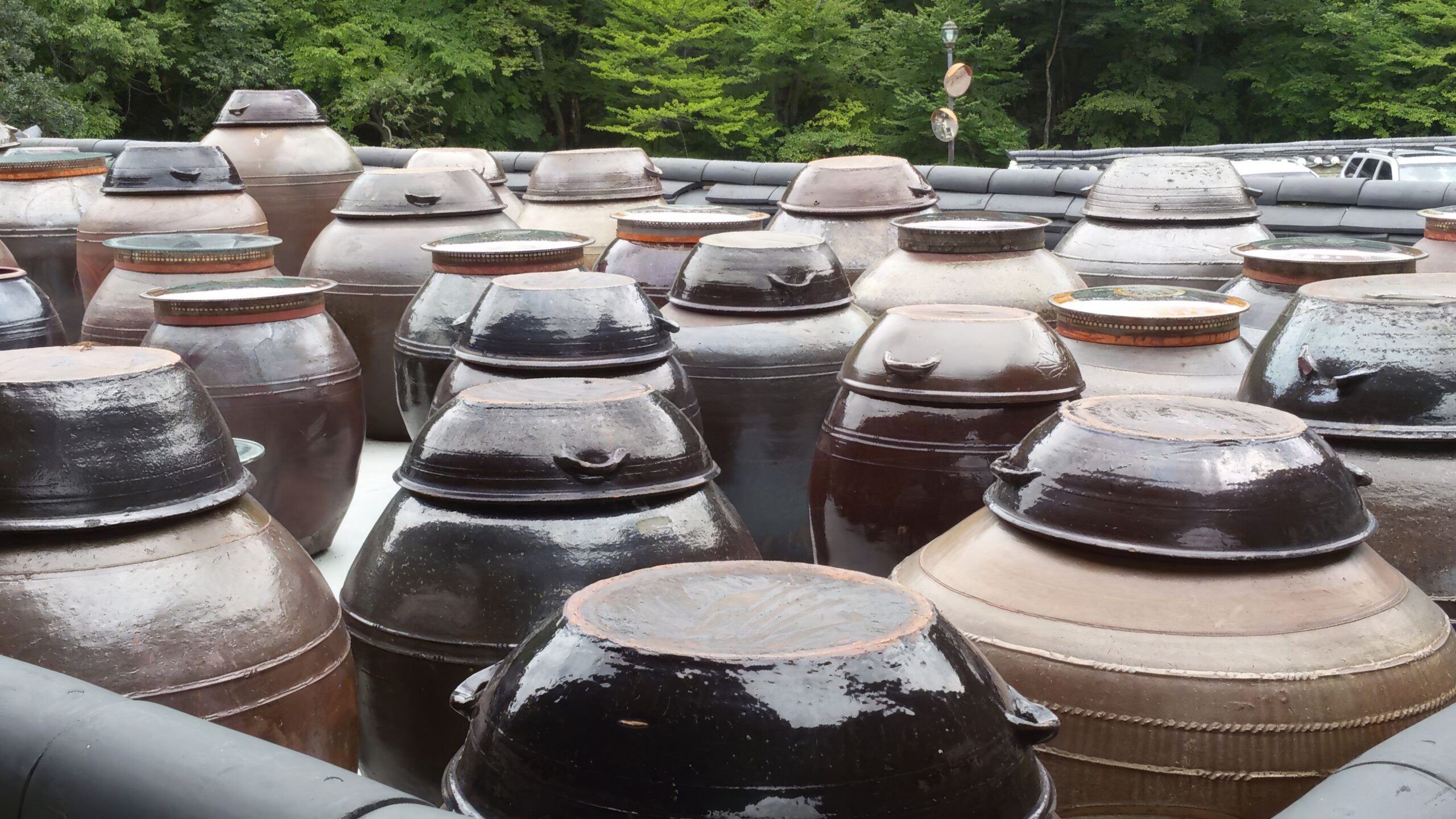 Ceramic Onggi jars used for fermentation in Yangsan, Gyeongsangnam-do, surrounded by lush greenery.