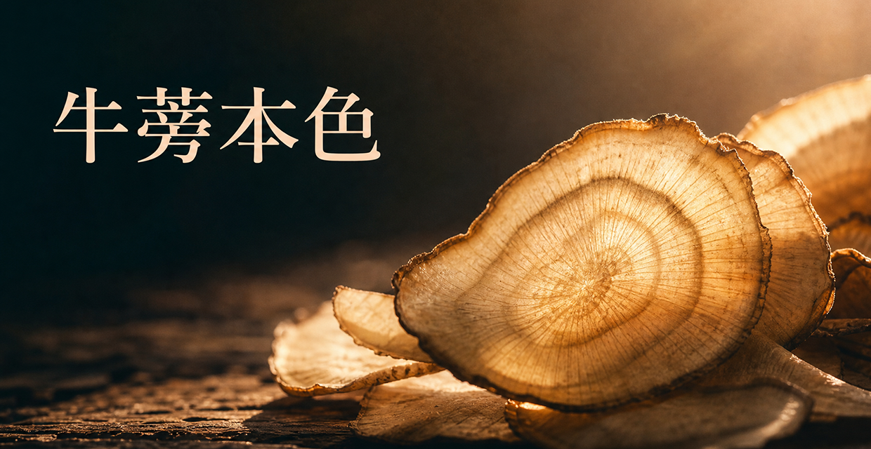 牛蒡本色