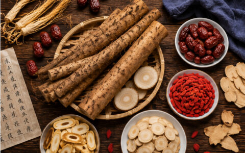 牛蒡是什么？从“东洋参”到“蔬菜之王”，三千年的药食同源传奇